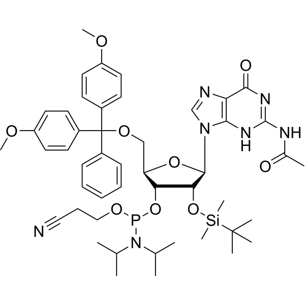 Ac-rG Phosporamidite 944138-03-8